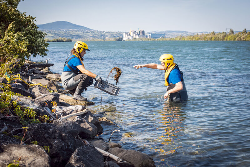 Illustration etude radiologique de site
